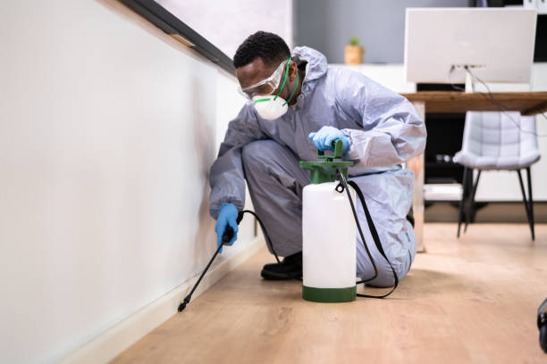 Best Pest Control for Multi-Family Homes  in Absecon, NJ